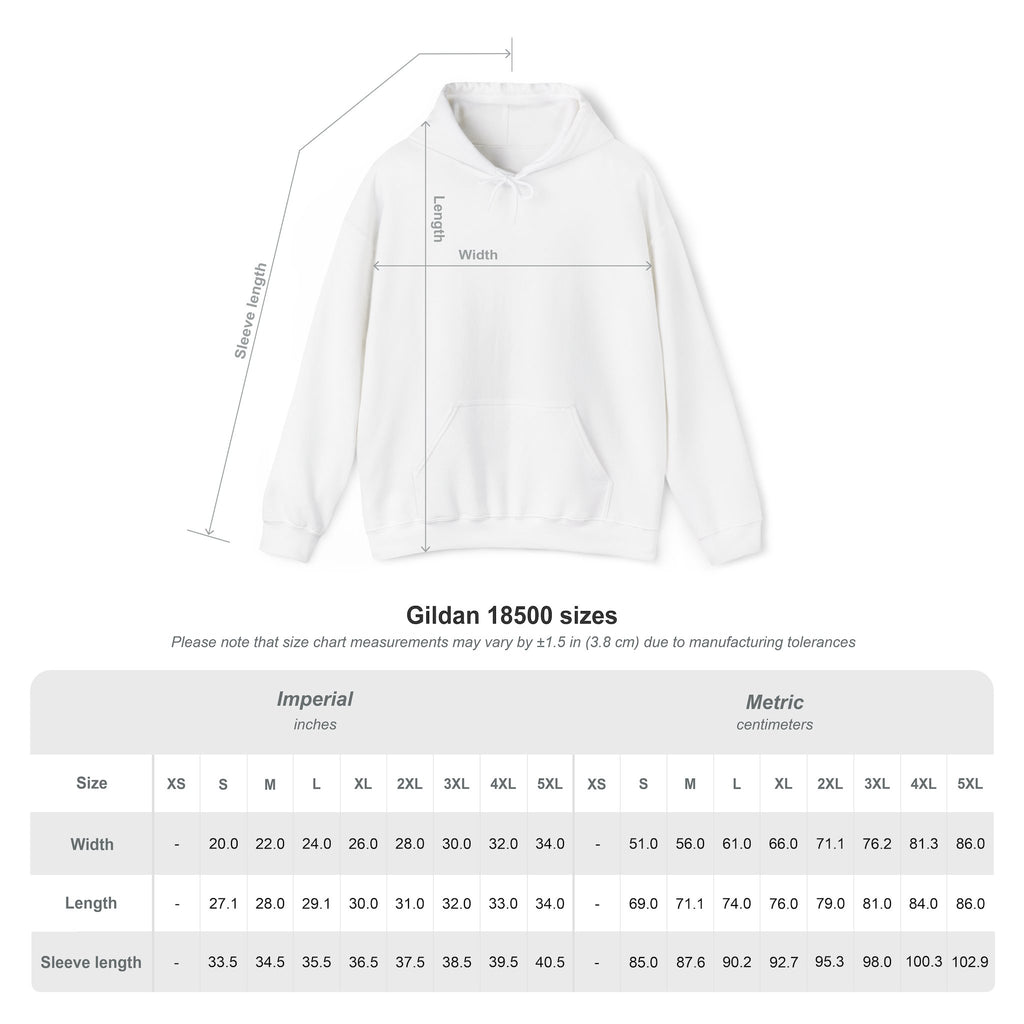 Delulu Club Cute Graphic Hoodie — "May My Delulu Come True" Pullover